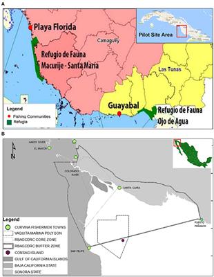 Integrating Science-Based Co-management, Partnerships, Participatory Processes and Stewardship Incentives to Improve the Performance of Small-Scale Fisheries